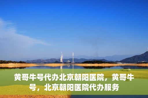 黄哥牛号代办北京朝阳医院，黄哥牛号，北京朝阳医院代办服务