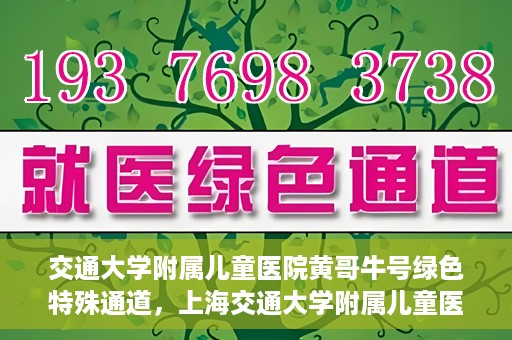 交通大学附属儿童医院黄哥牛号绿色特殊通道，上海交通大学附属儿童医院黄哥牛号绿色特殊通道揭秘