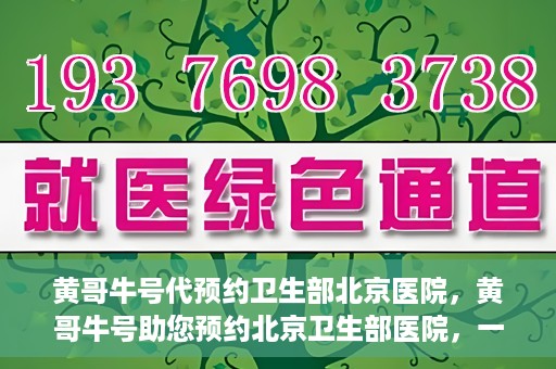 黄哥牛号代预约卫生部北京医院，黄哥牛号助您预约北京卫生部医院，一站式便捷服务开启