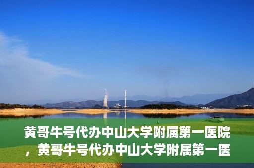 黄哥牛号代办中山大学附属第一医院，黄哥牛号代办中山大学附属第一医院业务手续全攻略