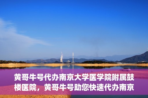 黄哥牛号代办南京大学医学院附属鼓楼医院，黄哥牛号助您快速代办南京大学医学院附属鼓楼医院手续。