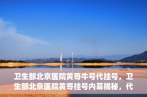 卫生部北京医院黄哥牛号代挂号，卫生部北京医院黄哥挂号内幕揭秘，代挂号背后的故事