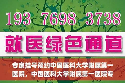 专家挂号预约中国医科大学附属第一医院，中国医科大学附属第一医院专家挂号预约解析