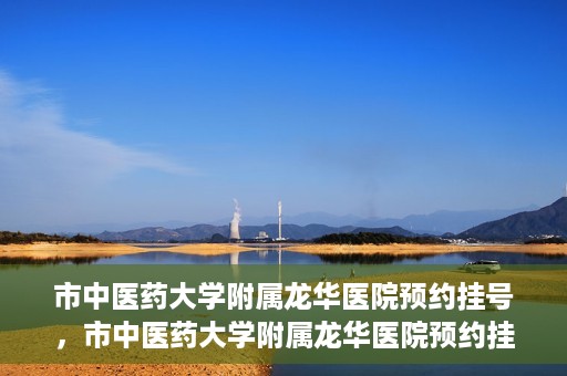 市中医药大学附属龙华医院预约挂号，市中医药大学附属龙华医院预约挂号攻略，一站式解决您的挂号难题