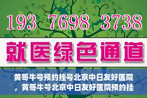 黄哥牛号预约挂号北京中日友好医院，黄哥牛号北京中日友好医院预约挂号攻略