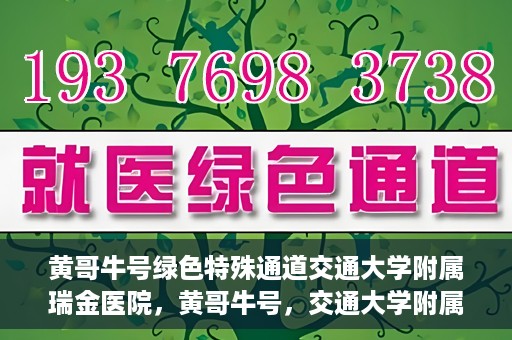 黄哥牛号绿色特殊通道交通大学附属瑞金医院，黄哥牛号，交通大学附属瑞金医院的绿色特殊通道揭秘