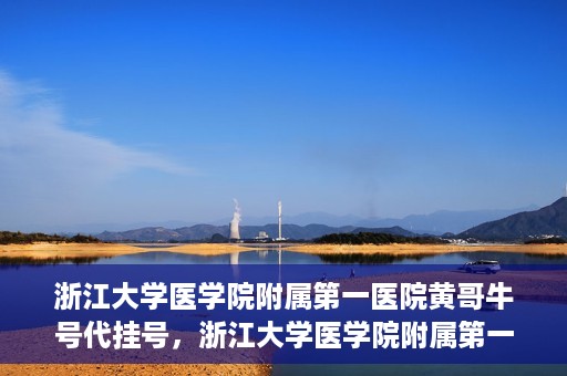 浙江大学医学院附属第一医院黄哥牛号代挂号，浙江大学医学院附属第一医院黄哥牛号代挂号服务解析