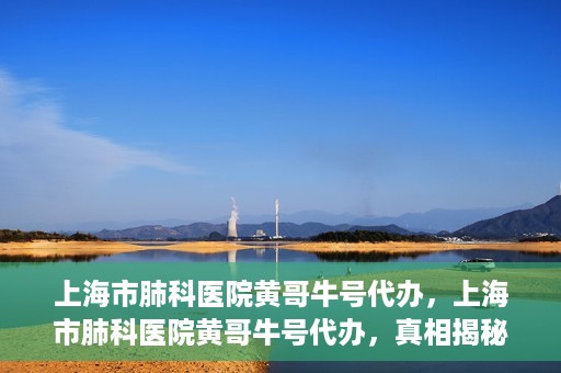 上海市肺科医院黄哥牛号代办，上海市肺科医院黄哥牛号代办，真相揭秘与深度解读