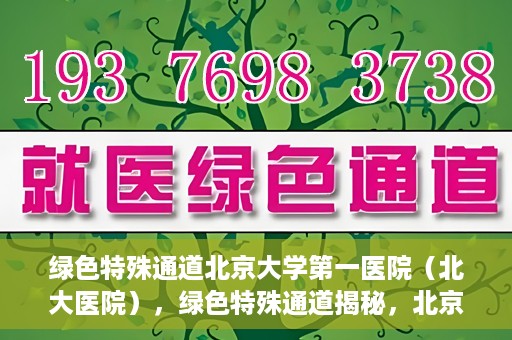 绿色特殊通道北京大学第一医院（北大医院），绿色特殊通道揭秘，北京大学第一医院（北大医院）的医学探索之旅
