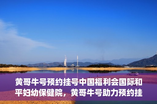 黄哥牛号预约挂号中国福利会国际和平妇幼保健院，黄哥牛号助力预约挂号，中国福利会国际和平妇幼保健院服务升级新体验