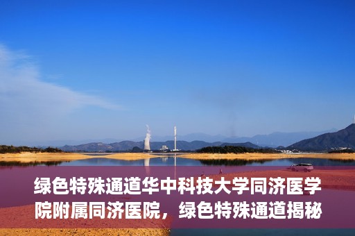 绿色特殊通道华中科技大学同济医学院附属同济医院，绿色特殊通道揭秘，华中科技大学同济医学院附属同济医院的探索之路