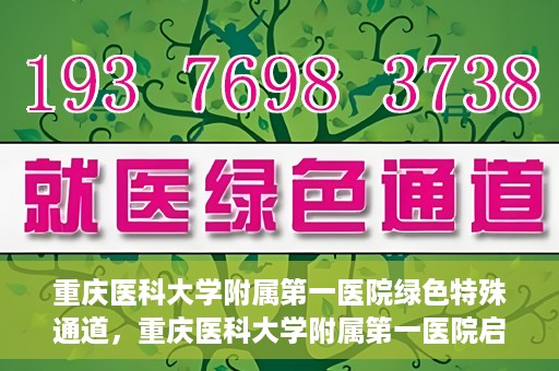 重庆医科大学附属第一医院绿色特殊通道，重庆医科大学附属第一医院启动绿色特殊通道，高效医疗服务的探索与实践