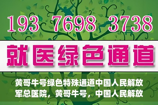 黄哥牛号绿色特殊通道中国人民解放军总医院，黄哥牛号，中国人民解放军总医院开启绿色特殊通道助力健康中国