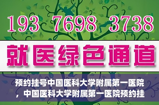 预约挂号中国医科大学附属第一医院，中国医科大学附属第一医院预约挂号系统启动，一站式服务助您轻松就医