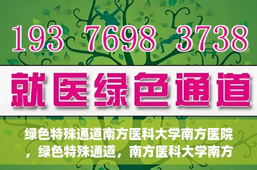 绿色特殊通道南方医科大学南方医院，绿色特殊通道，南方医科大学南方医院的探索与实践