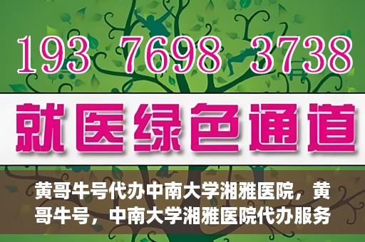 黄哥牛号代办中南大学湘雅医院，黄哥牛号，中南大学湘雅医院代办服务详解