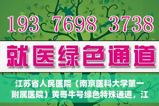江苏省人民医院（南京医科大学第一附属医院）黄哥牛号绿色特殊通道，江苏省人民医院绿色特殊通道，黄哥牛号的医疗速度与温情服务
