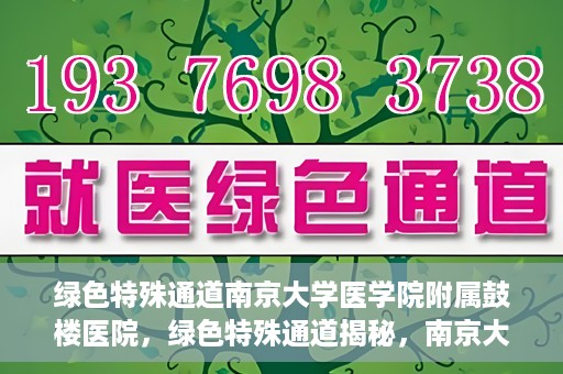 绿色特殊通道南京大学医学院附属鼓楼医院，绿色特殊通道揭秘，南京大学医学院附属鼓楼医院的探索与实践