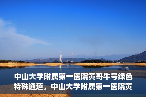 中山大学附属第一医院黄哥牛号绿色特殊通道，中山大学附属第一医院黄哥牛号，绿色特殊通道开启健康之门