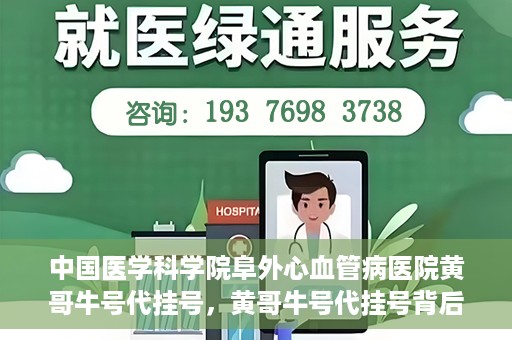 中国医学科学院阜外心血管病医院黄哥牛号代挂号，黄哥牛号代挂号背后的故事，阜外心血管病医院的探索与挑战