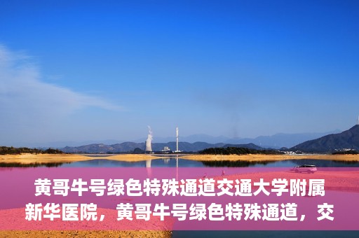 黄哥牛号绿色特殊通道交通大学附属新华医院，黄哥牛号绿色特殊通道，交通大学附属新华医院的探索与实践