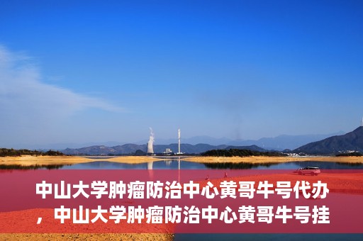中山大学肿瘤防治中心黄哥牛号代办，中山大学肿瘤防治中心黄哥牛号挂号代办服务解析