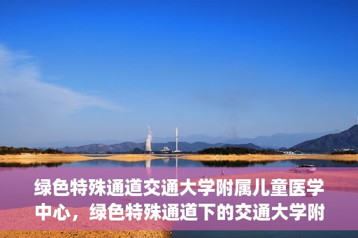 绿色特殊通道交通大学附属儿童医学中心，绿色特殊通道下的交通大学附属儿童医学中心探索