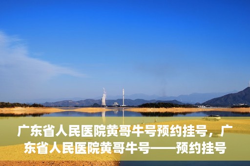 广东省人民医院黄哥牛号预约挂号，广东省人民医院黄哥牛号——预约挂号攻略