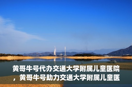 黄哥牛号代办交通大学附属儿童医院，黄哥牛号助力交通大学附属儿童医院代办服务