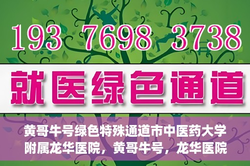 黄哥牛号绿色特殊通道市中医药大学附属龙华医院，黄哥牛号，龙华医院开启绿色特殊通道，倡导中医药文化传承