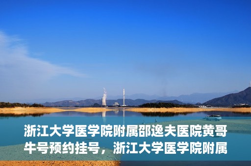 浙江大学医学院附属邵逸夫医院黄哥牛号预约挂号，浙江大学医学院附属邵逸夫医院黄哥名医号预约挂号攻略