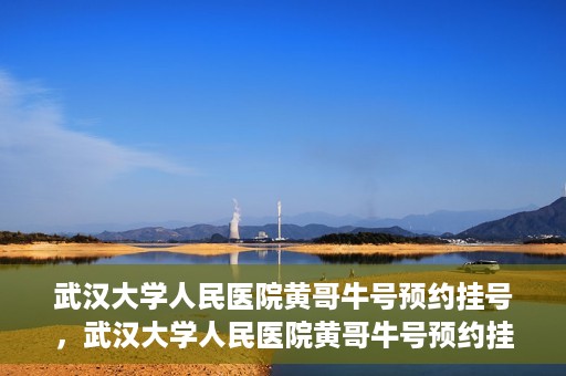 武汉大学人民医院黄哥牛号预约挂号，武汉大学人民医院黄哥牛号预约挂号攻略解析
