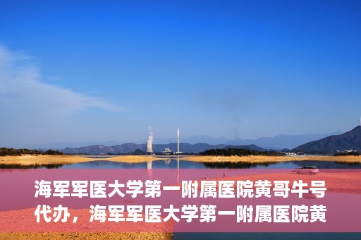 海军军医大学第一附属医院黄哥牛号代办，海军军医大学第一附属医院黄哥牛号代办，揭秘背后的故事