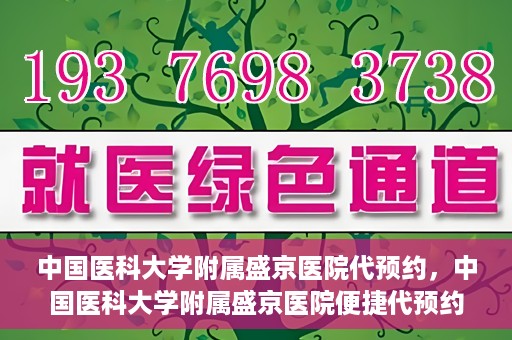 中国医科大学附属盛京医院代预约，中国医科大学附属盛京医院便捷代预约服务解析