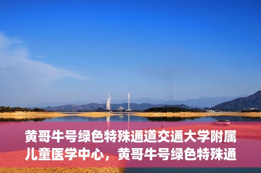 黄哥牛号绿色特殊通道交通大学附属儿童医学中心，黄哥牛号绿色特殊通道，交通大学附属儿童医学中心探访之旅