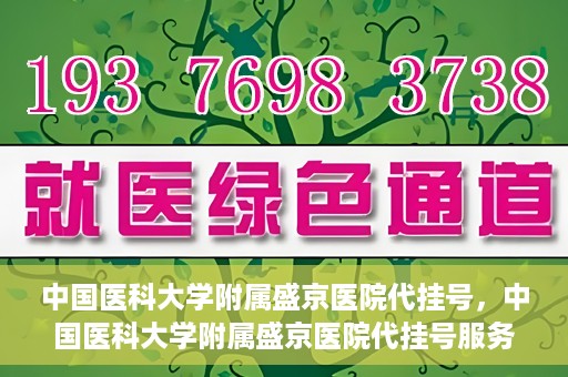 中国医科大学附属盛京医院代挂号，中国医科大学附属盛京医院代挂号服务详解