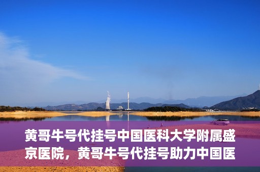 黄哥牛号代挂号中国医科大学附属盛京医院，黄哥牛号代挂号助力中国医科大学附属盛京医院就医便捷化