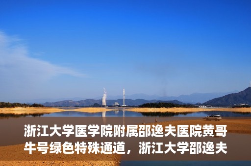 浙江大学医学院附属邵逸夫医院黄哥牛号绿色特殊通道，浙江大学邵逸夫医院绿色特殊通道，黄哥牛号引领医疗新风尚