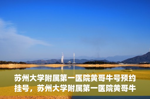 苏州大学附属第一医院黄哥牛号预约挂号，苏州大学附属第一医院黄哥牛号，预约挂号攻略