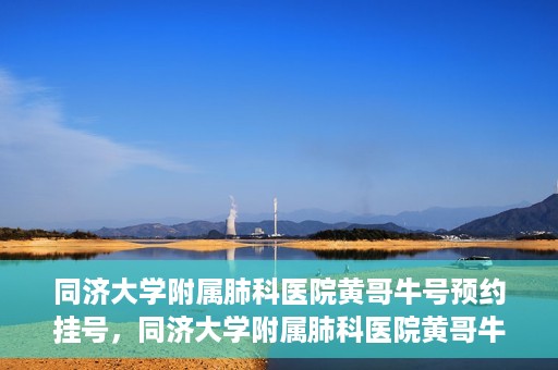 同济大学附属肺科医院黄哥牛号预约挂号，同济大学附属肺科医院黄哥牛预约挂号攻略，轻松预约专家号