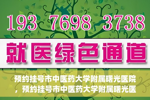 预约挂号市中医药大学附属曙光医院，预约挂号市中医药大学附属曙光医院，一站式便捷就医服务新体验