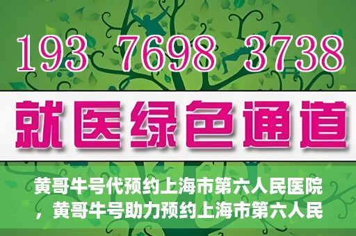黄哥牛号代预约上海市第六人民医院，黄哥牛号助力预约上海市第六人民医院服务