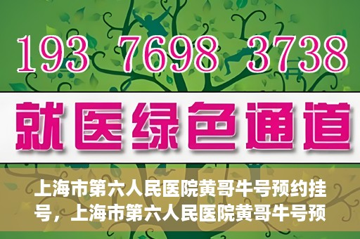 上海市第六人民医院黄哥牛号预约挂号，上海市第六人民医院黄哥牛号预约挂号攻略，轻松挂号，便捷就医体验