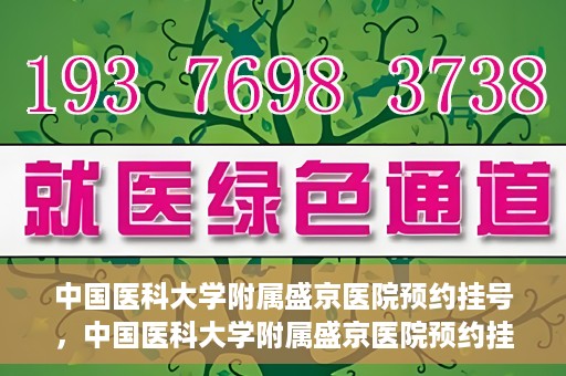 中国医科大学附属盛京医院预约挂号，中国医科大学附属盛京医院预约挂号指南，一站式解决您的挂号难题