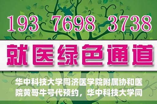 华中科技大学同济医学院附属协和医院黄哥牛号代预约，华中科技大学同济医学院附属协和医院预约服务揭秘，黄哥牛号代预约解析