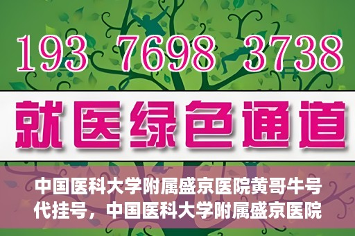 中国医科大学附属盛京医院黄哥牛号代挂号，中国医科大学附属盛京医院黄哥牛号代挂号背后的故事与真相揭秘