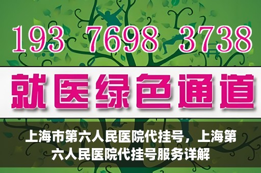 上海市第六人民医院代挂号，上海第六人民医院代挂号服务详解