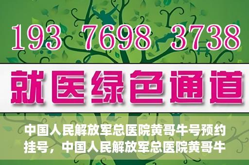 中国人民解放军总医院黄哥牛号预约挂号，中国人民解放军总医院黄哥牛号预约挂号攻略解析