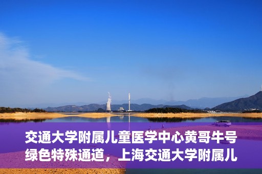 交通大学附属儿童医学中心黄哥牛号绿色特殊通道，上海交通大学附属儿童医学中心黄哥牛号，绿色特殊通道的守护者们