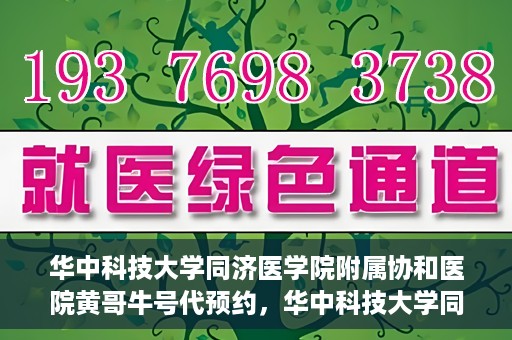 华中科技大学同济医学院附属协和医院黄哥牛号代预约，华中科技大学同济医学院附属协和医院预约服务揭秘，黄哥牛号代预约解析
